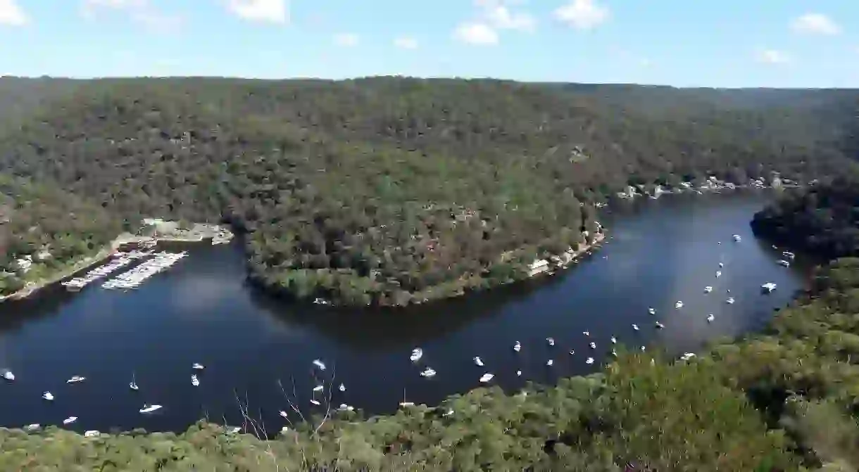 Kayaking on the Hawkesbury River offers an abundance of beautiful scenery