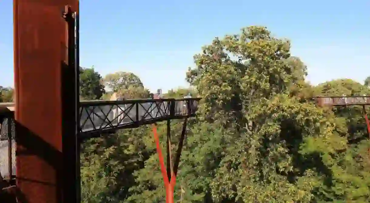 The Xstrata Treetop Walkway in Kew Gardens