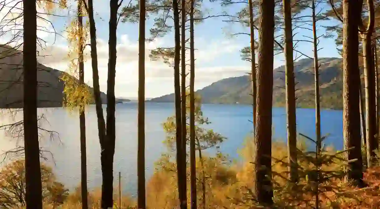 Top spots to witness autumn foilage in the UK include the banks of Loch Lomond in Scotland