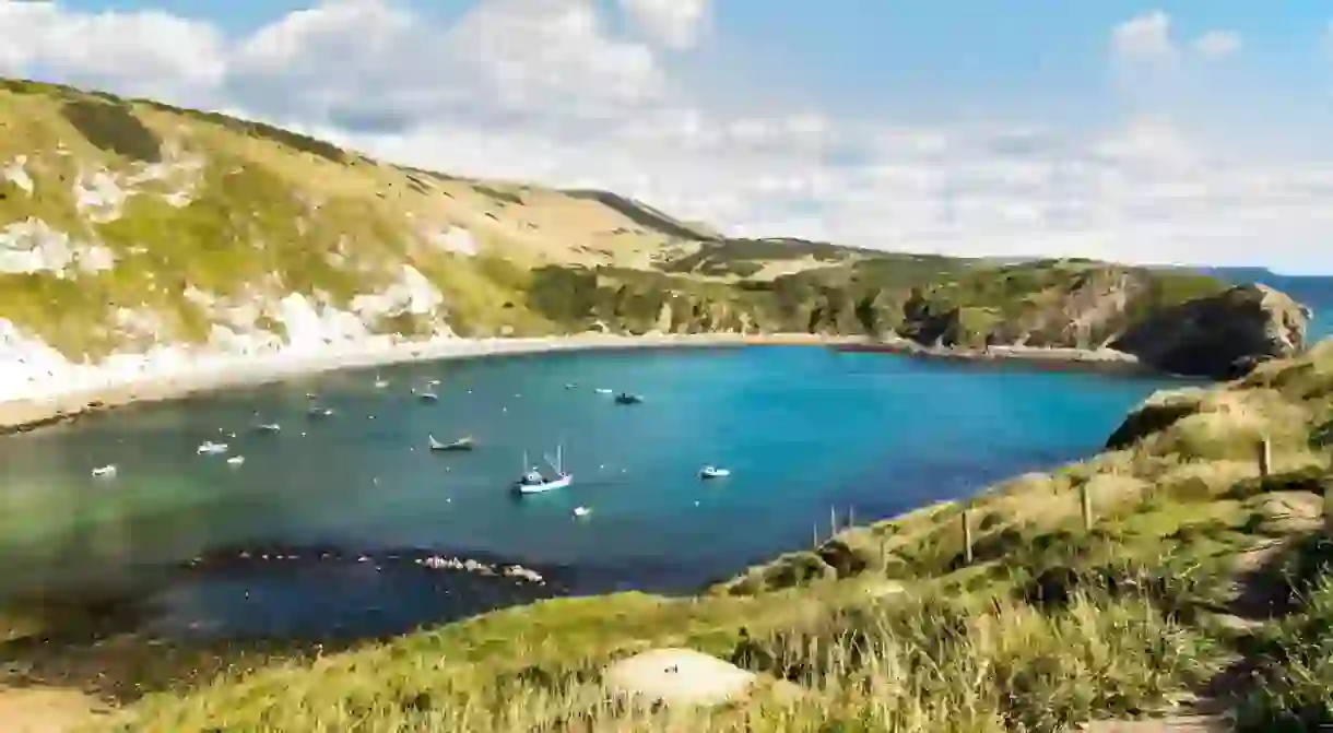 Overlooking the beautiful Lulworth Cove in Dorset