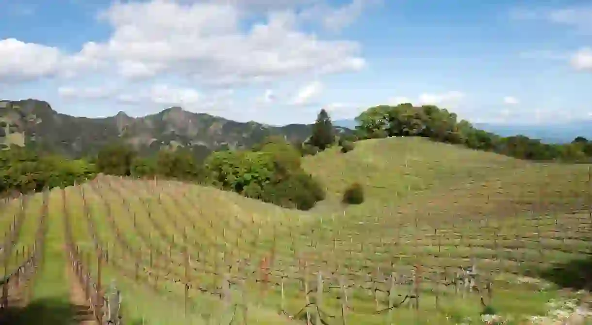 Sonoma is wine country, but theres plenty more to see and do here