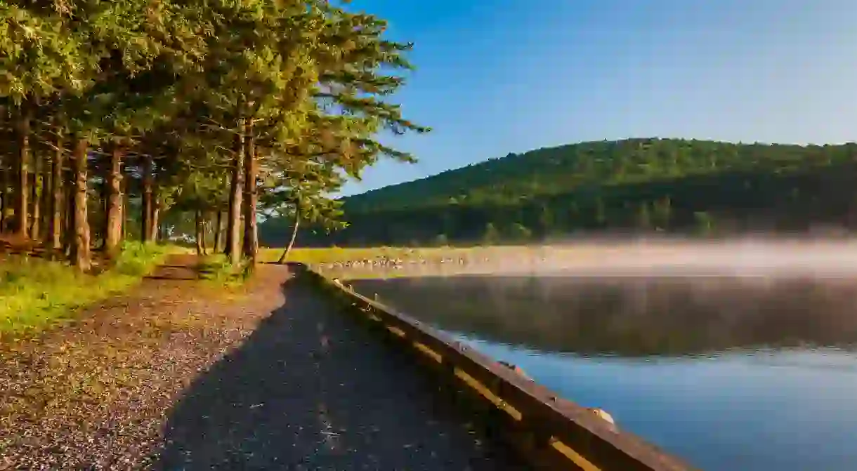 The Monongahela National Forest is a stunning place to visit in West Virginia