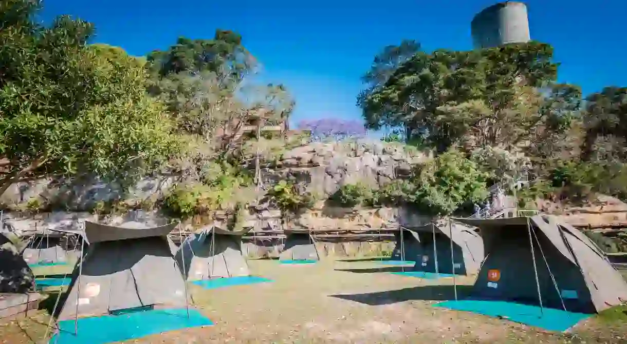 Top camping destinations in New South Wales include Cockatoo Island