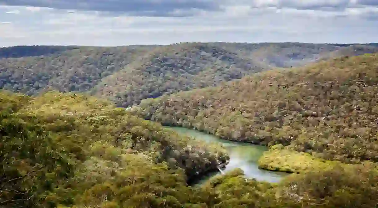 Ku-ring-gai Chase National Park is steeped in Aboriginal history and culture and a haven for flora and fauna