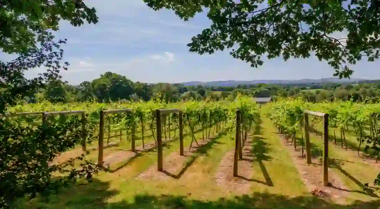 Sussex is home to some incredible wineries and comfortable Airbnbs