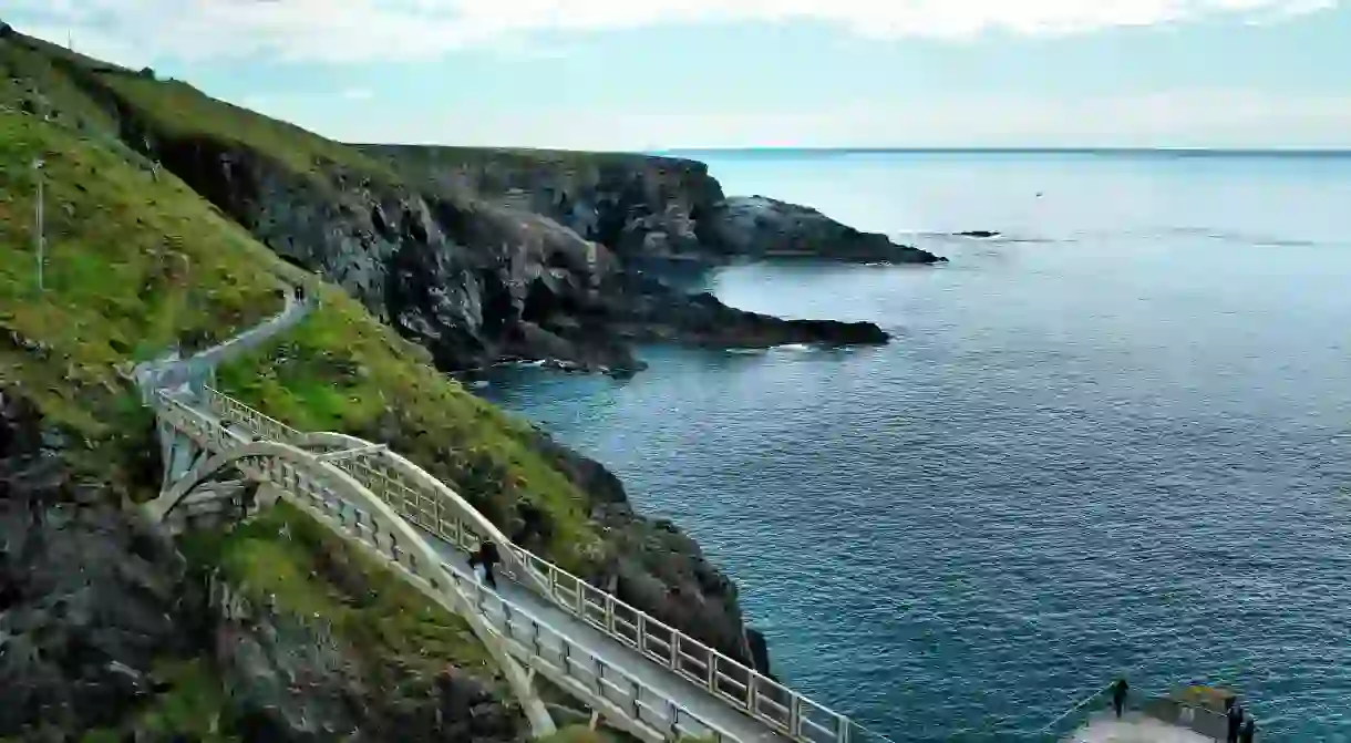 While at Mizen Head, look for dolphins, whales and seals in the ocean below