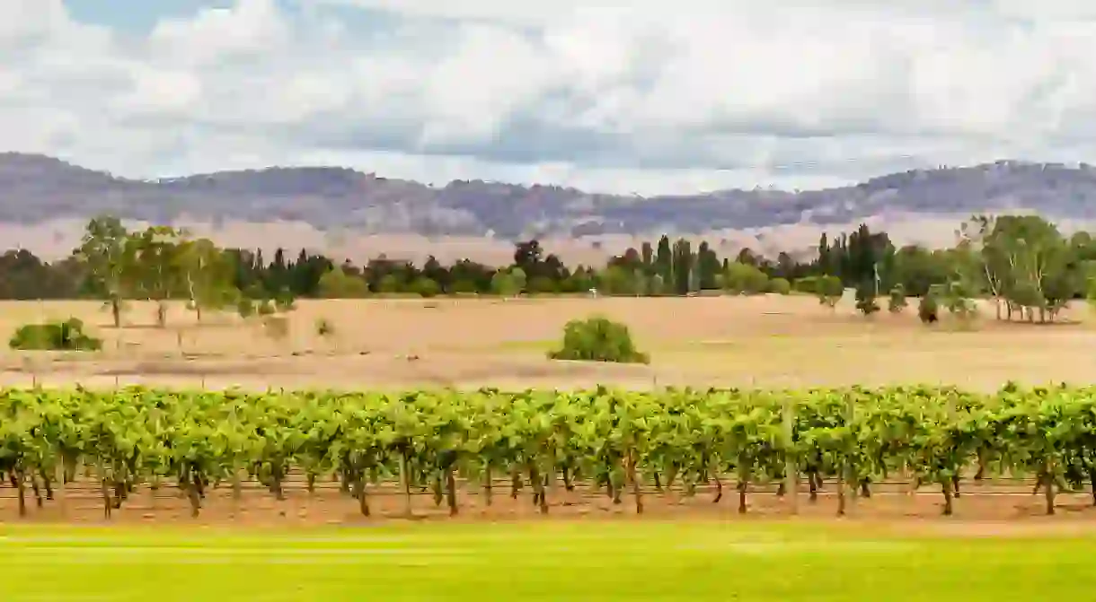 Hunter Valley is Australias oldest wine region