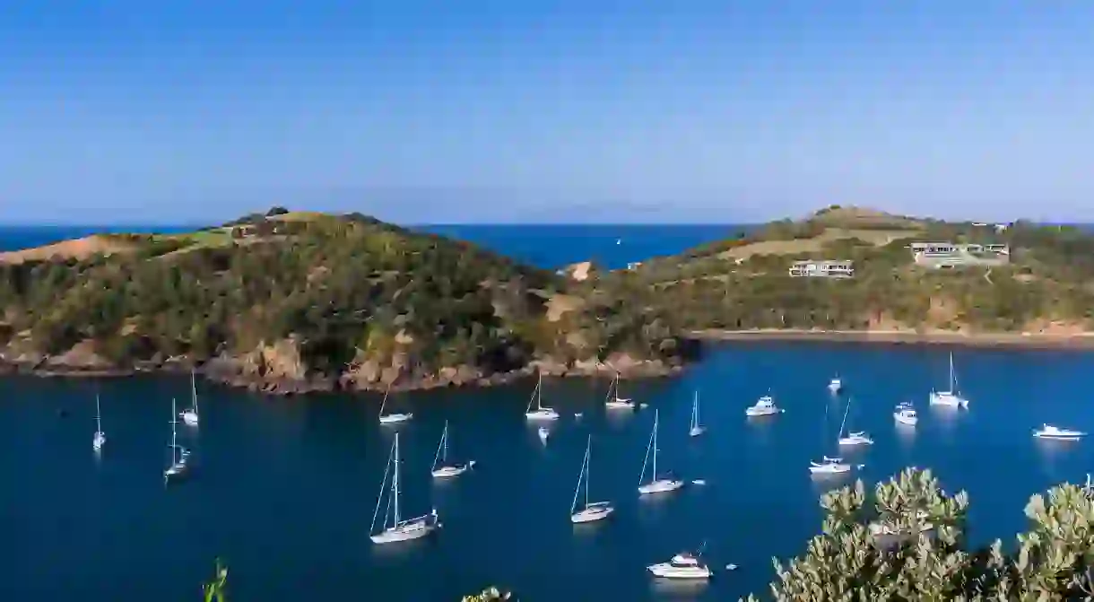 Waiheke Island is the perfect place for a scenic New Zealand day trip