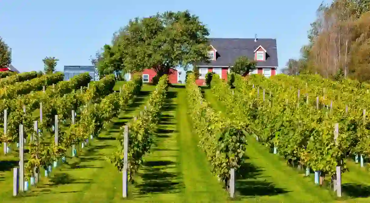 The Myriad View Artisan Distillery is among the top distilleries and wineries on Prince Edward Island