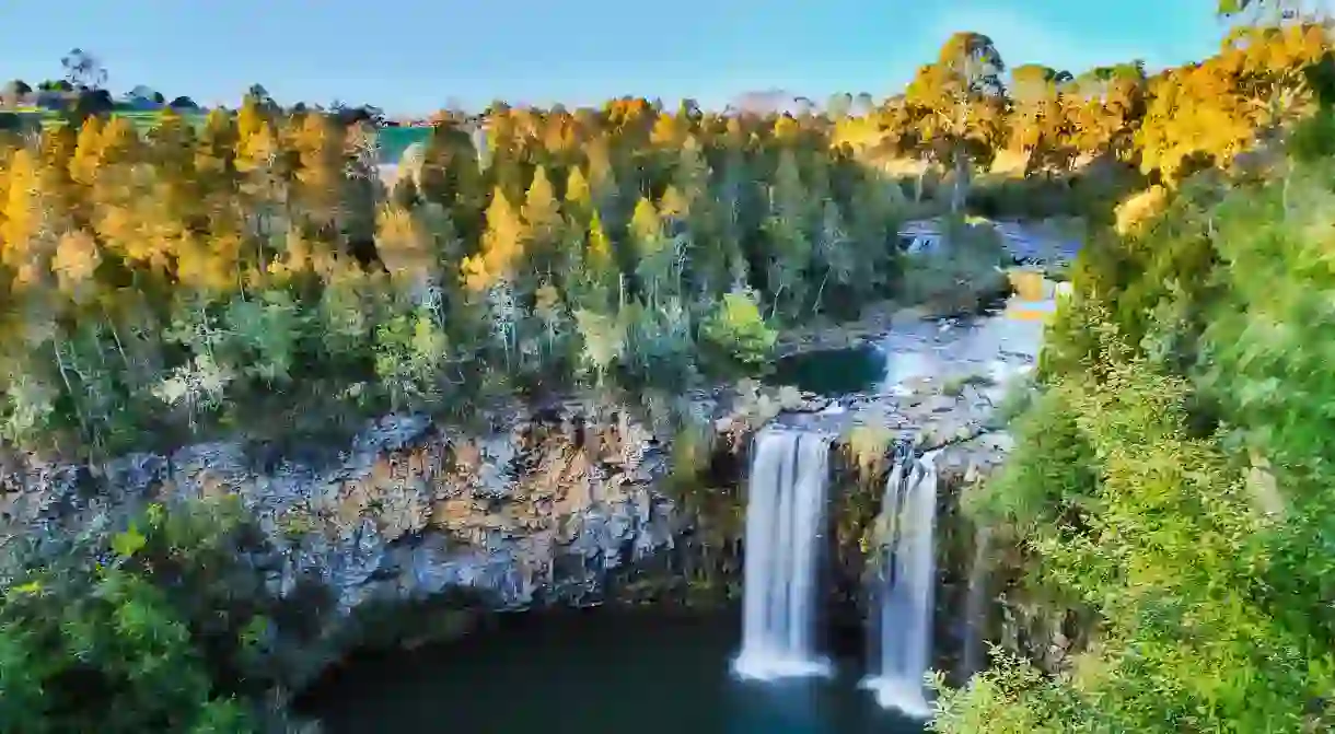 Whether you want to get close to majestic waterfalls or splendid rainforest birds, make sure Dorrigo National Park makes an appearance on your itinerary