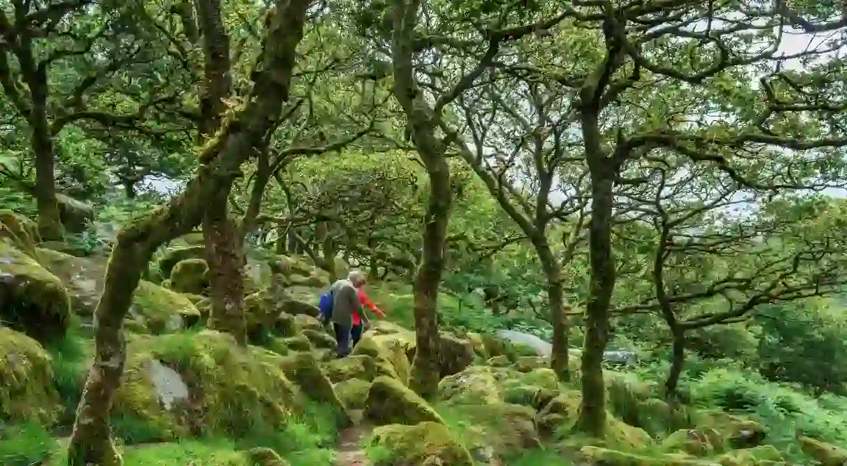 The otherworldly Wistmans Wood is one of the most unusual places to visit in Devon