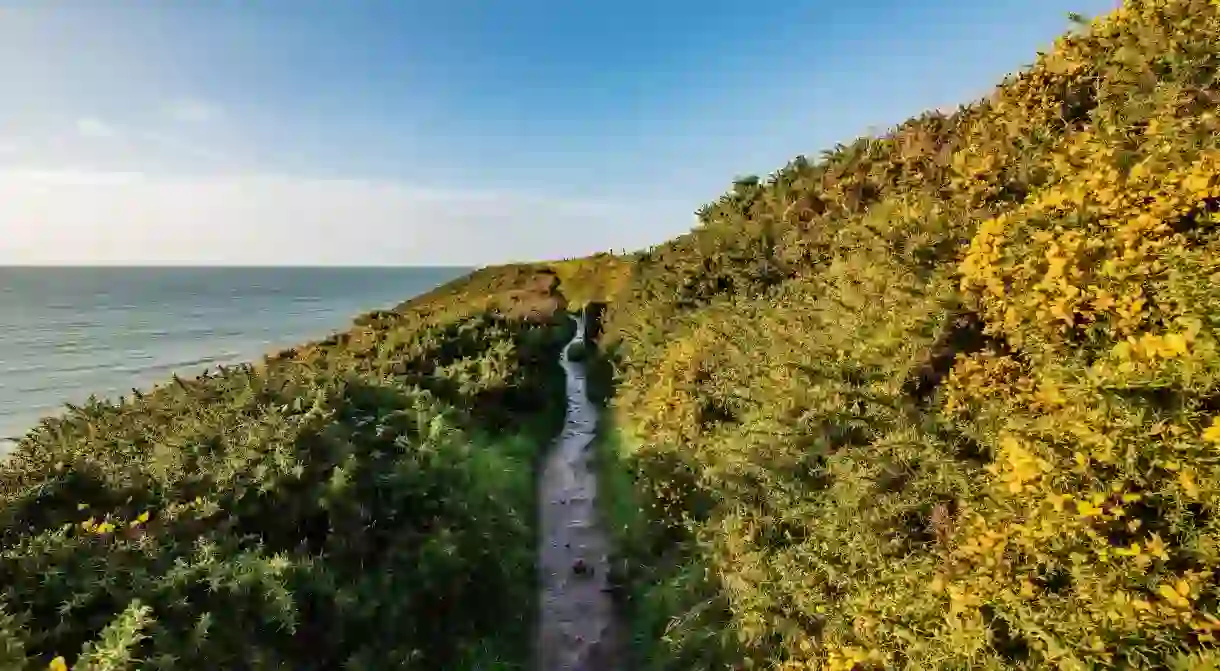 The Ballycotton Cliff Walk hike in Cork