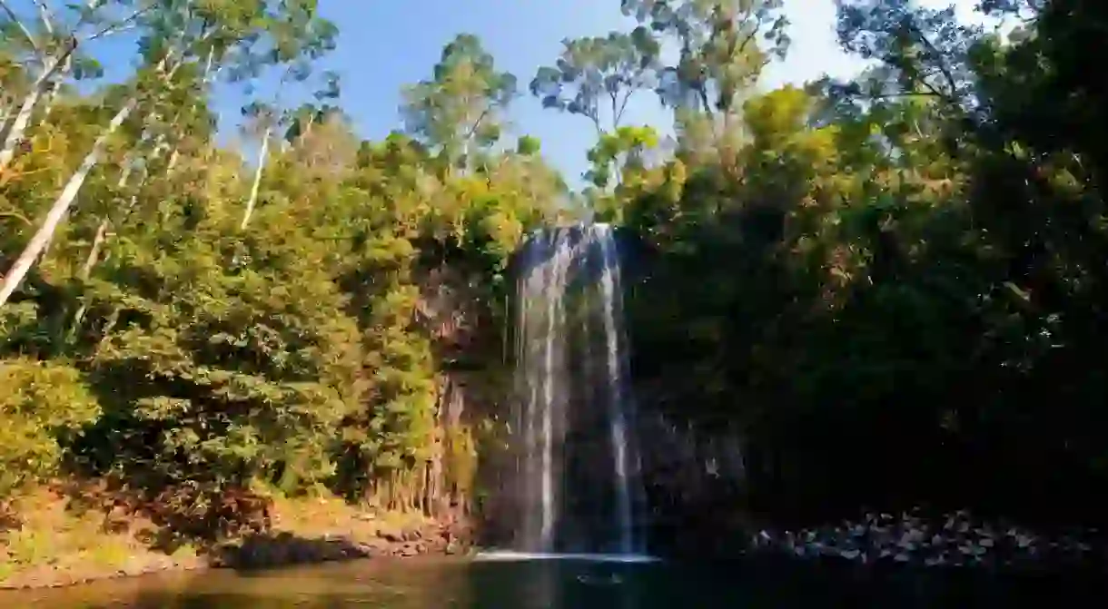 Go for a dip at Millaa Millaa Falls, near Cairns