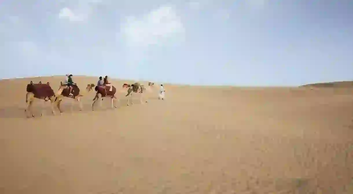 Camel caravan during a Bedouin experience