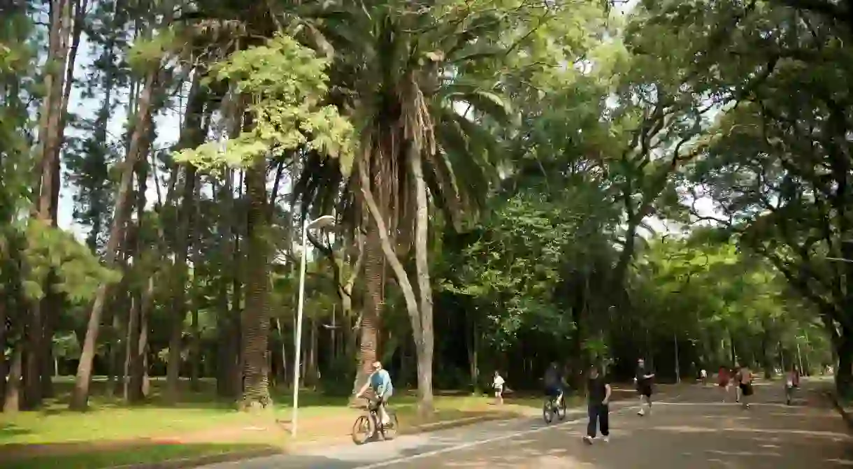 Cycling is a great way to explore the incredible attractions São Paulo, Brazil, has to offer