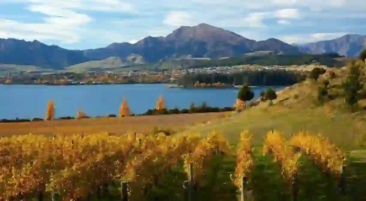 Central Otago, home to Rippon Vineyard and Lake Wanaka, is one of New Zealands top wine regions