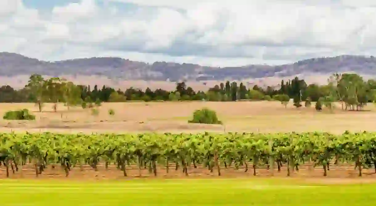 Hunter Valley, Australia, was established as a wine region in the mid-19th century