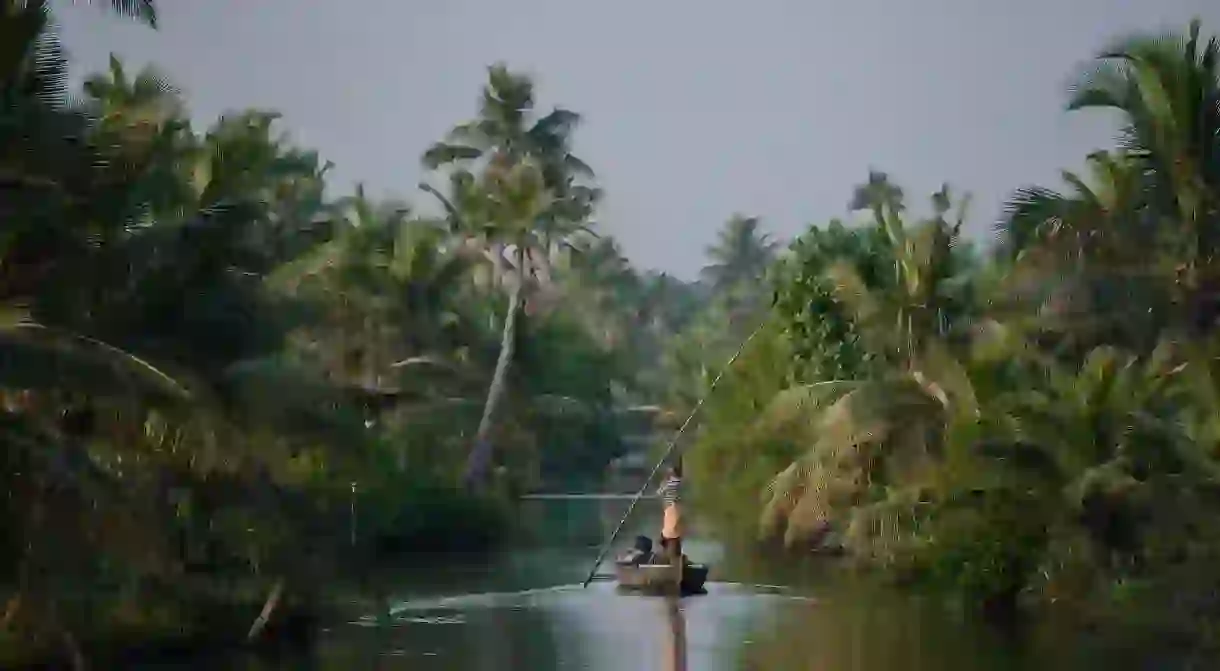 Beautiful Munroe island is teeming with spectacular bird life