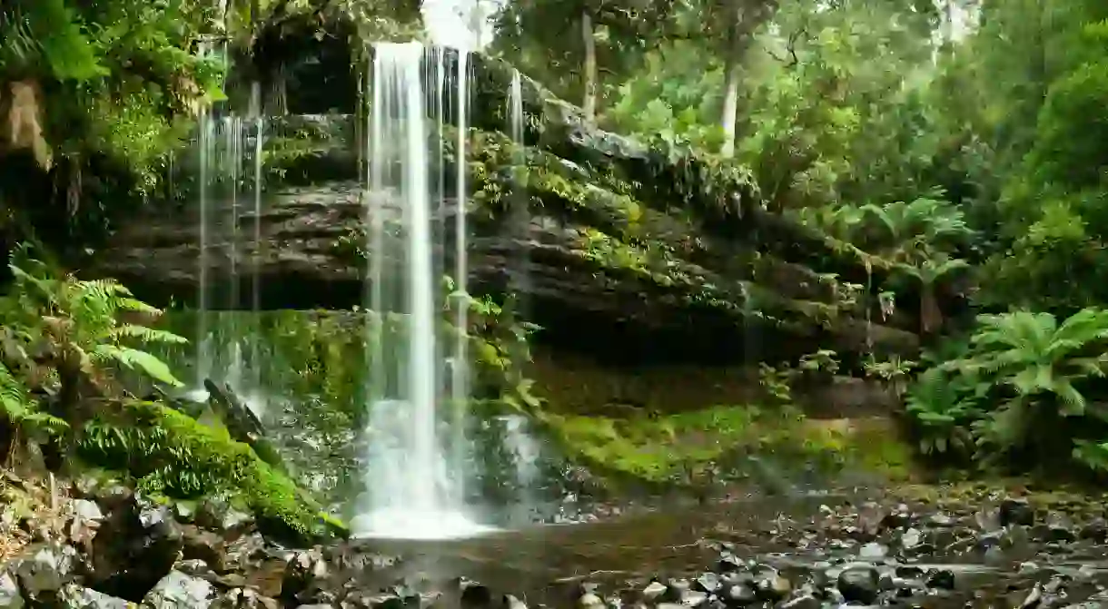 Russell Falls, Mount Field National Park, Central Tasmania in autumn