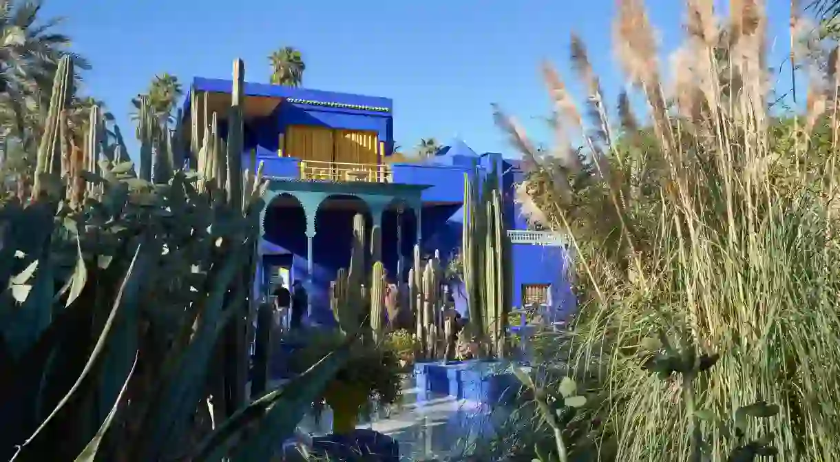 The bright blue Berber Museum and surrounding Majorelle Garden