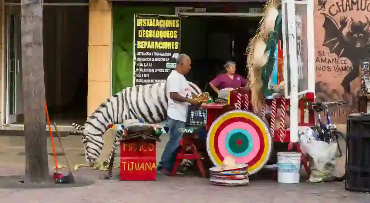 Zonkeys, donkeys painted with zebra stripes, are a landmark for tourist photos in Tijuana, Mexico. Tourists pay to have their photos taken with the zonkey.