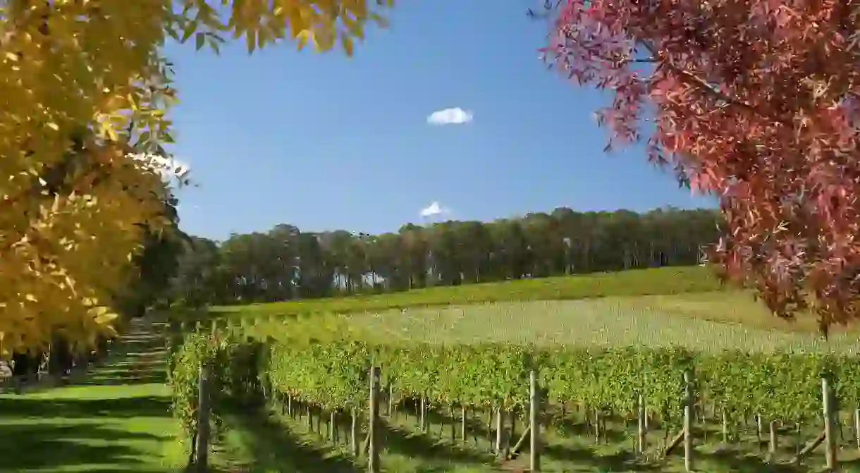 Wineries are scattered in between verdant hills and tiny towns in the Southern Highlands, Australia