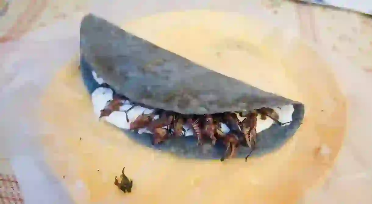 Blue corn empanada with fried grasshoppers, anyone?