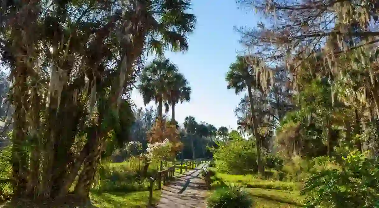 Silver Springs is just one of the spectacular natural attractions close to Ocala