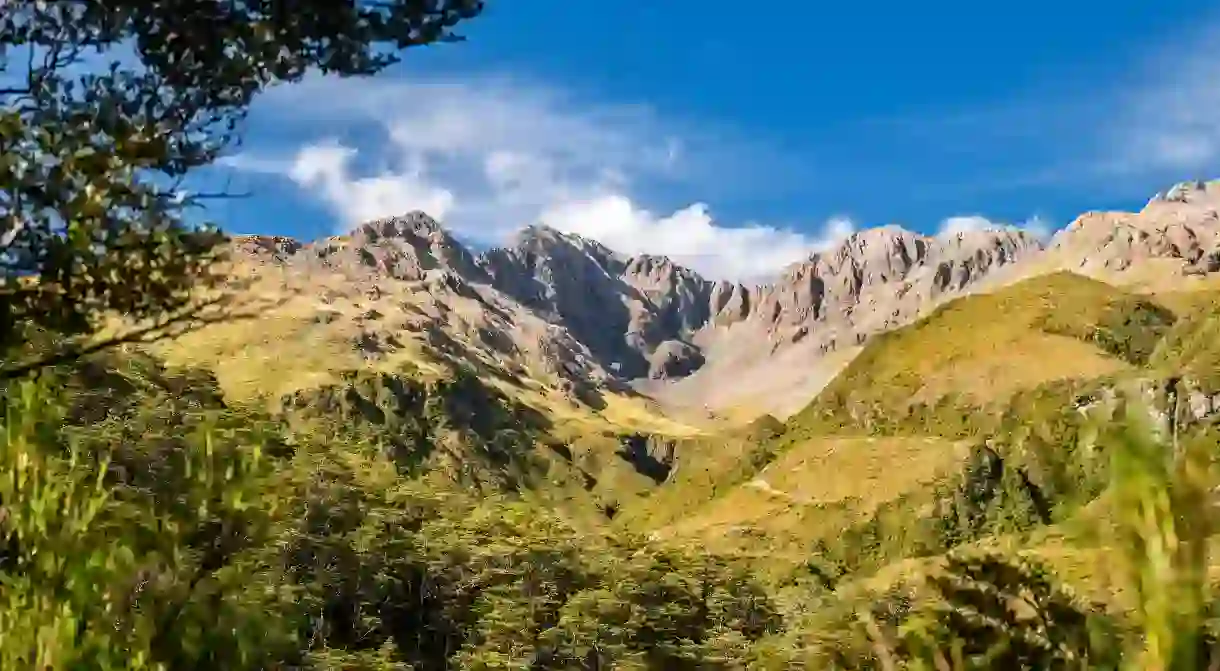 When in Christchurch, allow yourself enough time for a day trip to Arthurs Pass National Park