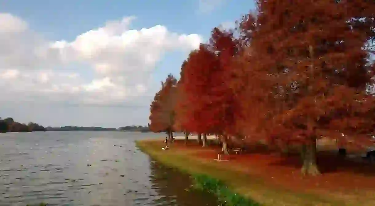 In Louisiana, the best time for fall foliage is around the end of October