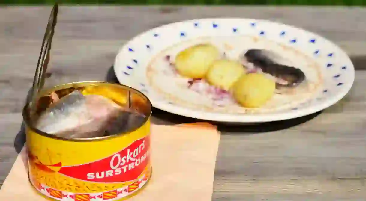 Surstromming Fermented baltic herring