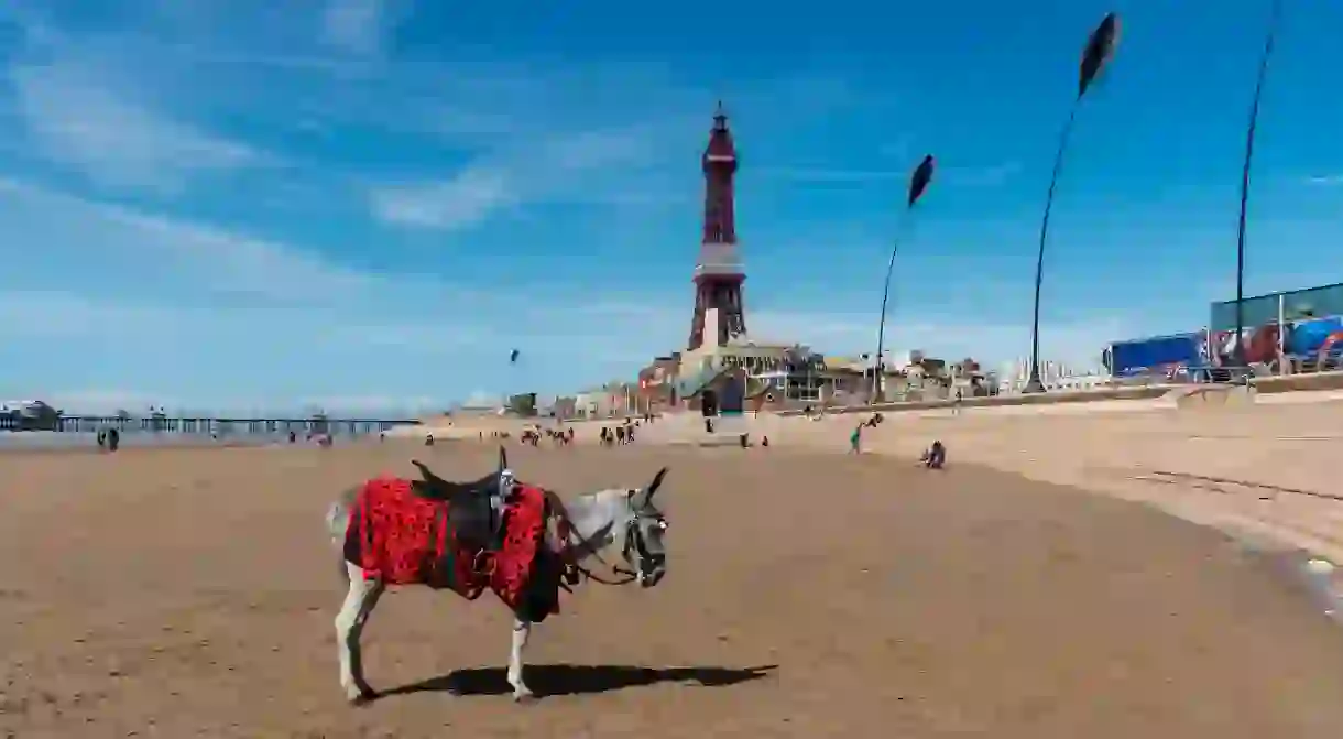 It wouldn’t be a British holiday without a donkey ride on Blackpool beach