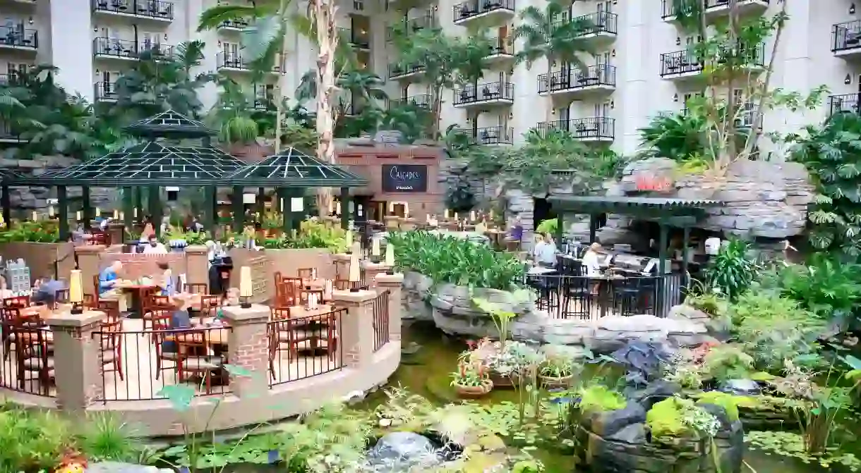 In addition to many dining options, the Gaylord Opryland Resort and Convention Center has lots of water activities, too