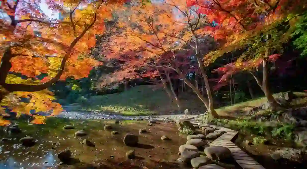 Koishikawa Korakuen is particularly stunning in autumn