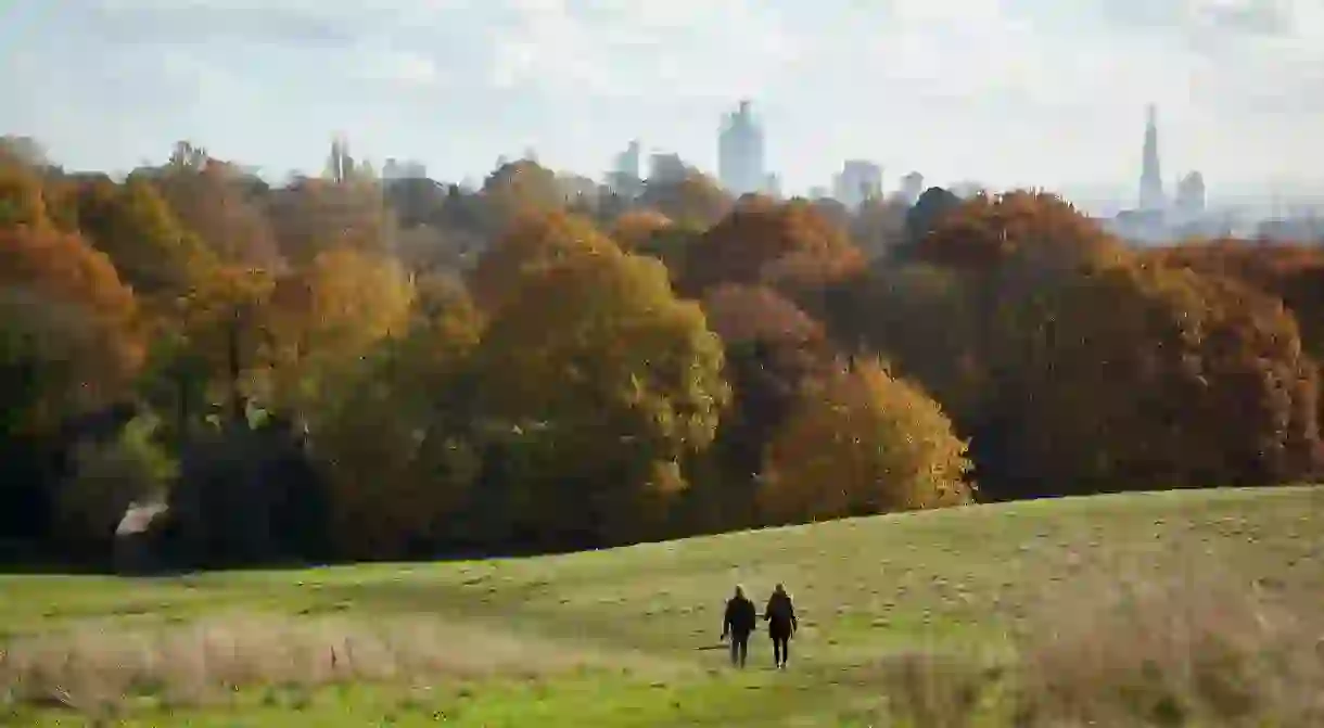 A beautiful autumn day in Hampstead Heath, North London