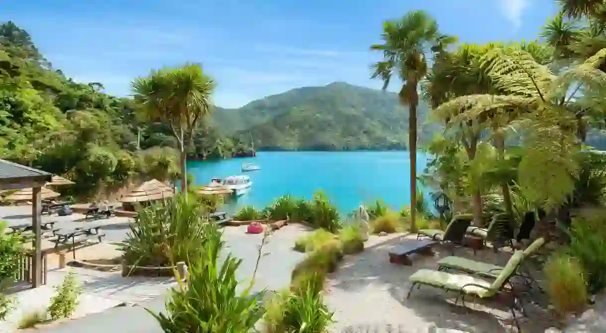 Lochmara Lodge, on the waters edge in Queen Charlotte Sound, allows you to get close to nature