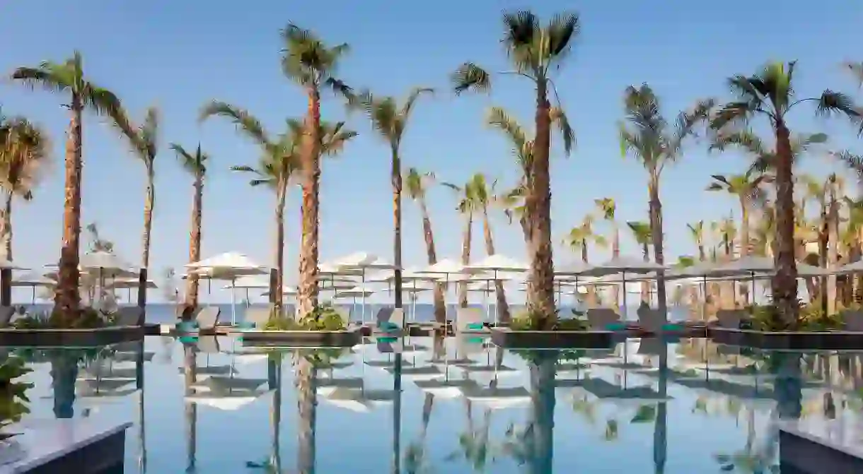 Palm trees line the pool at the Amavi Hotel in Paphos