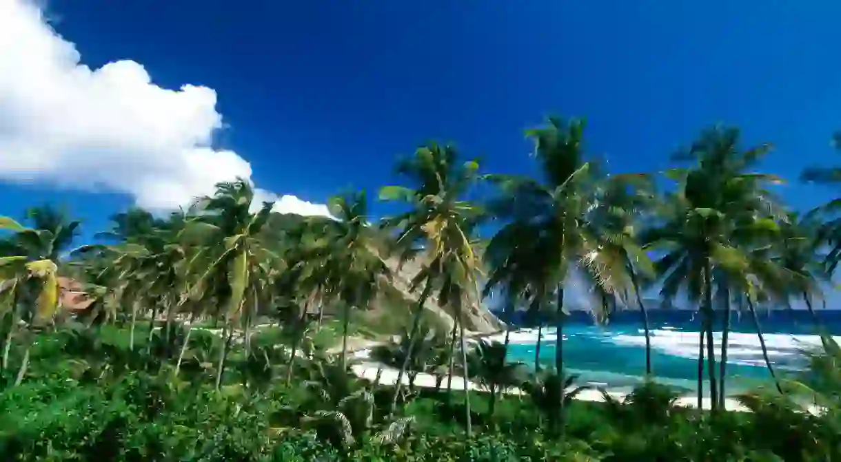 Peter Island boasts some of the top beaches in the British Virgin Islands