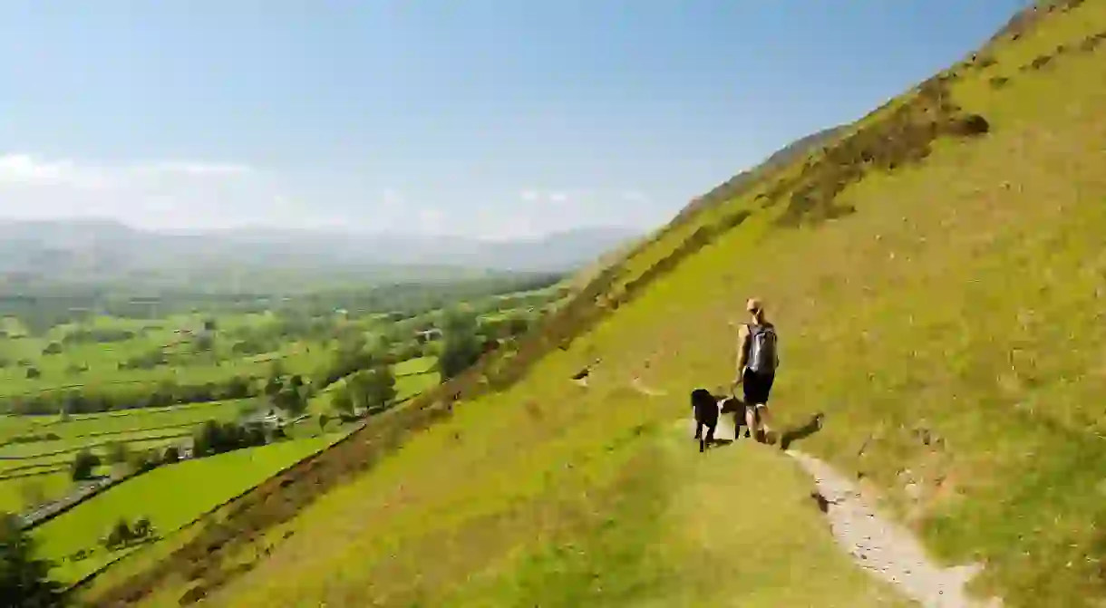 Take your pups along with you on a walk up Blencathra in the Lake District