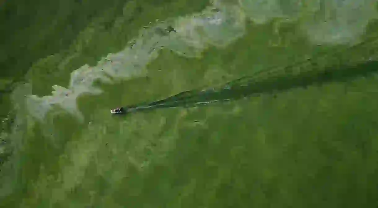 Lake Erie is turning green because of waves of blooming algae