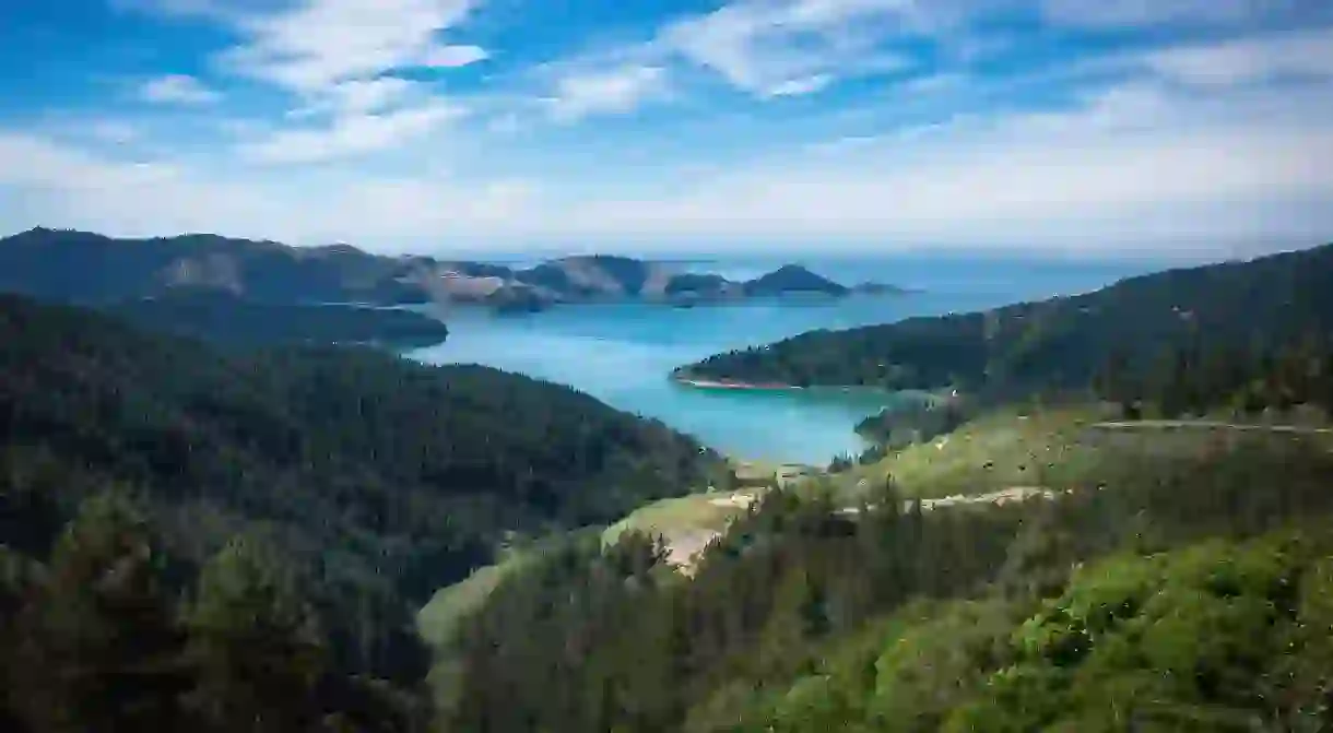 Forested slopes make their way down to turqoise water in Picton - find yourself in between with a Culture Trip stay