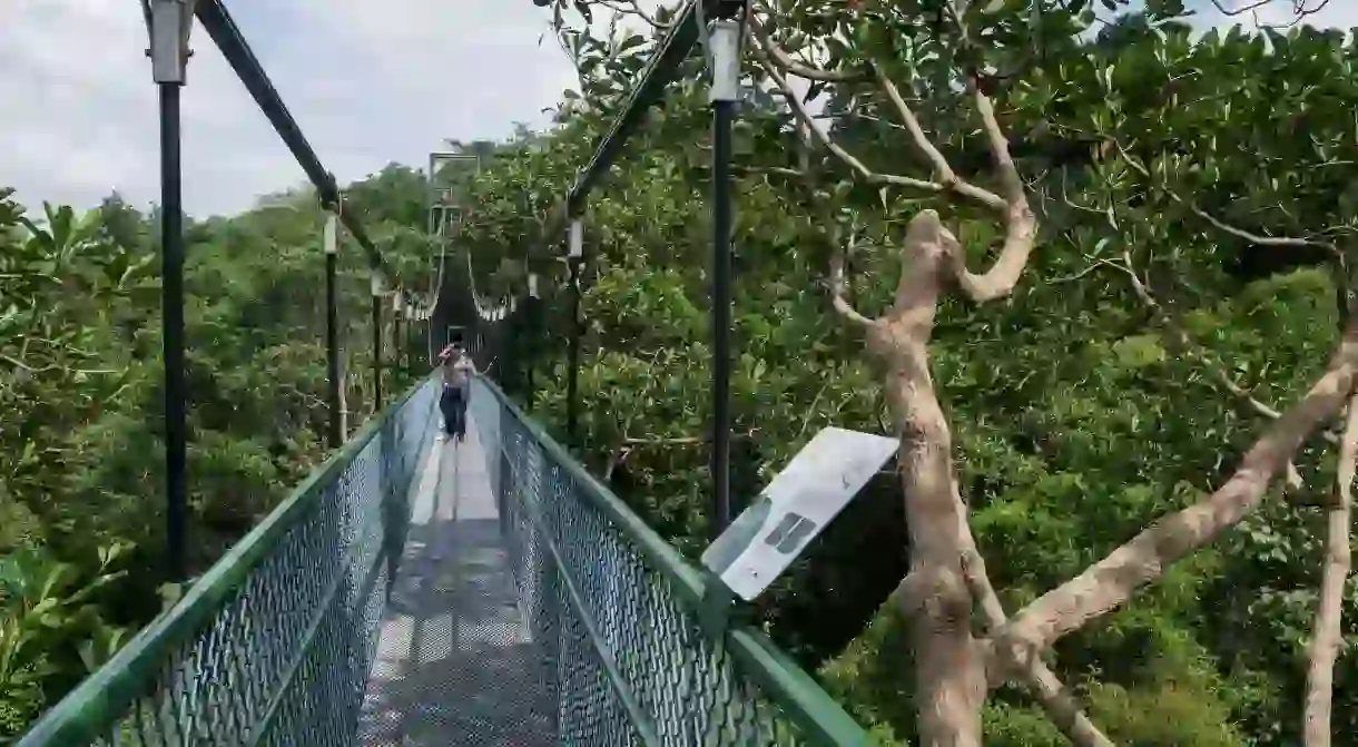 Tree Top Walk, pedestrian bridge above the canopy in MacRitchie Reservoir Park