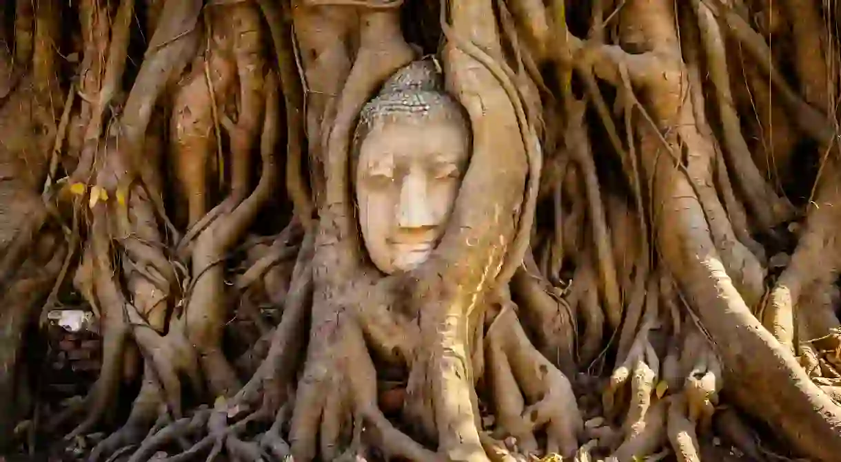 The Buddhas face can be seen in the roots of a banyan tree in Wat Phra Mahthat, Ayutthaya Historical Park