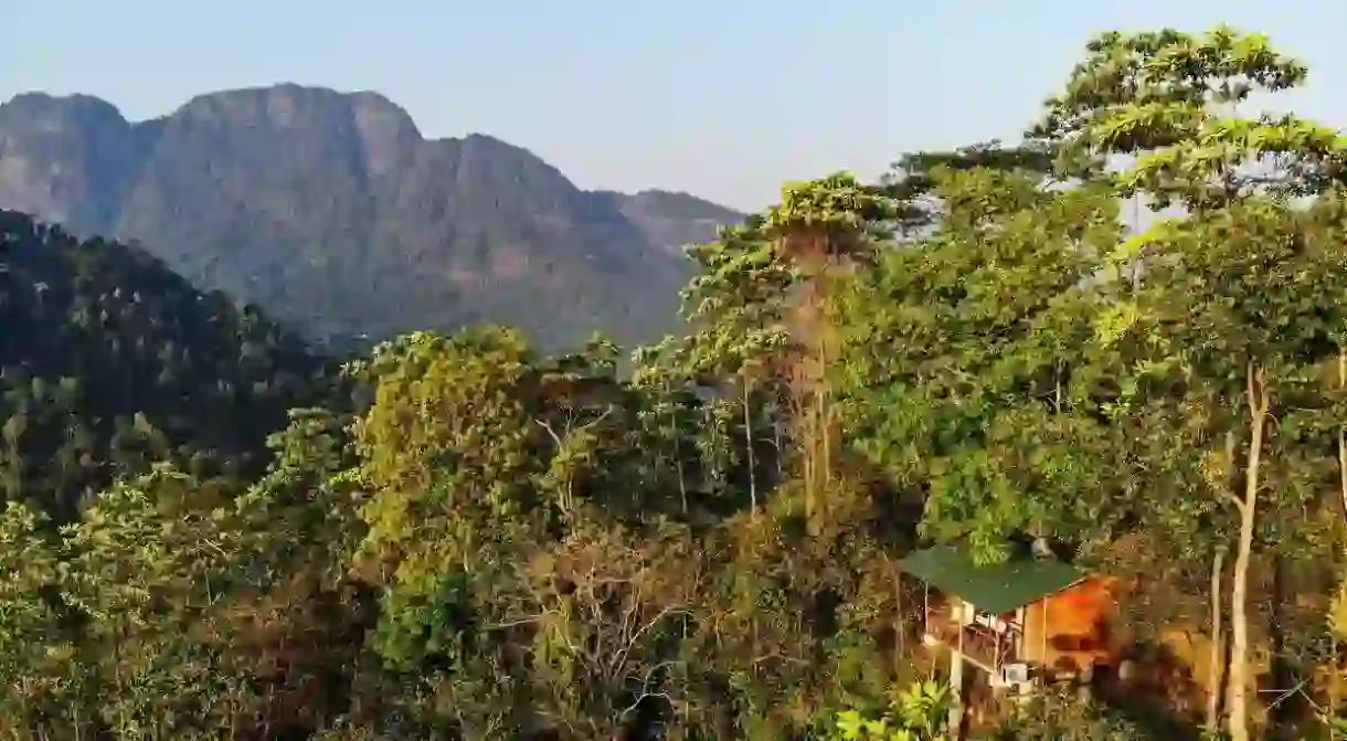 There are plenty of treehouse options in Sri Lanka