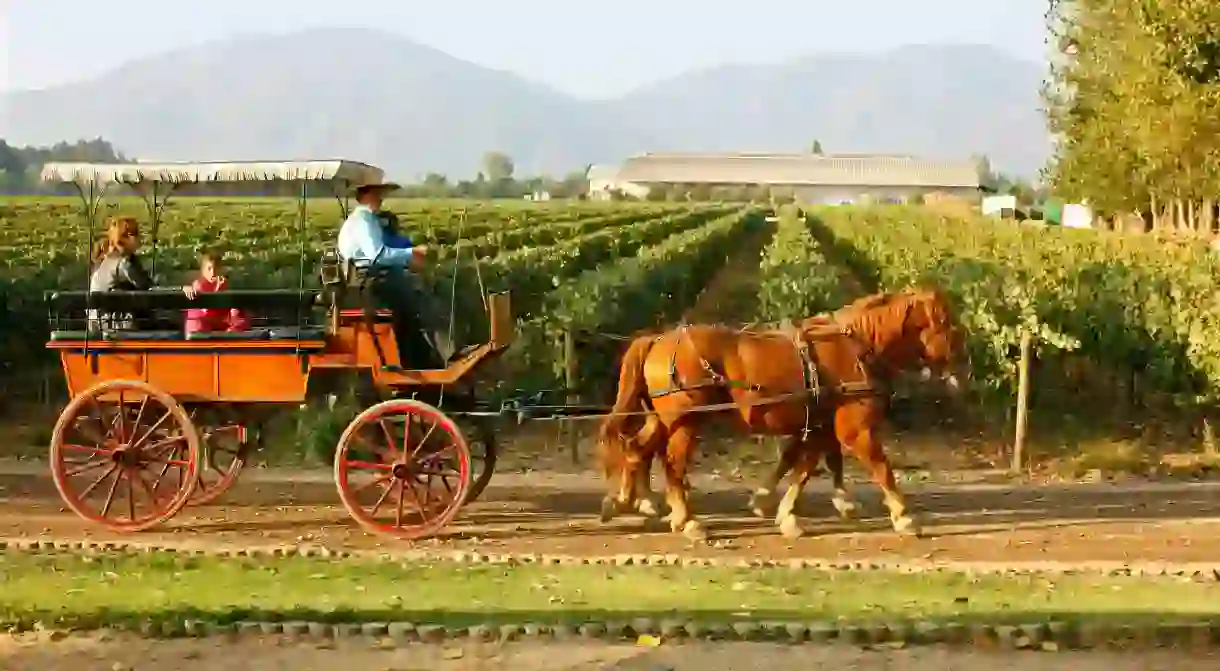 Visitors can tour Chiles wine estates by horse and carriage before settling down for a tasting of one its renowned vintages