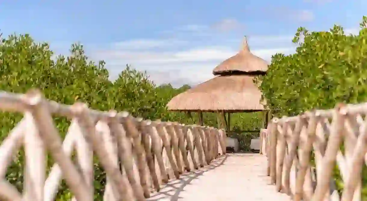 North Zen Villas in the Philippines is located in a mangrove forest