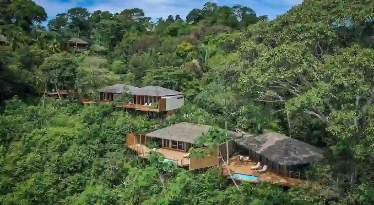 Share the treetops with more than 300 bird species at Lapa Rios Lodge