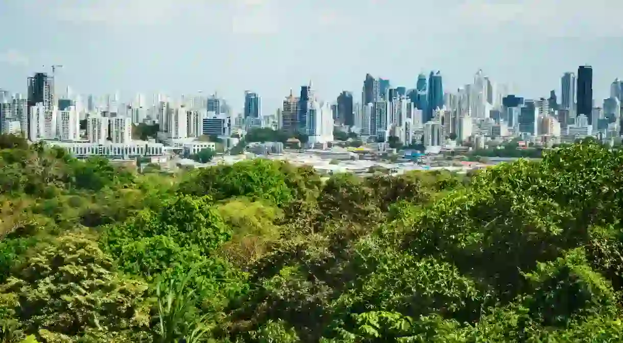 Enjoy the view of Panama City from Metropolitan Natural Park