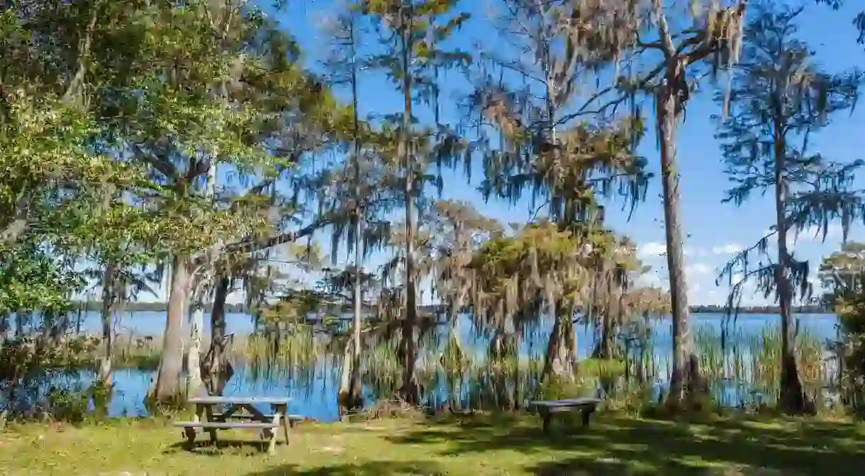 The picnic area at Lake Russell, in the Nature Conservancy Disney Wilderness Preserve, near Orlando