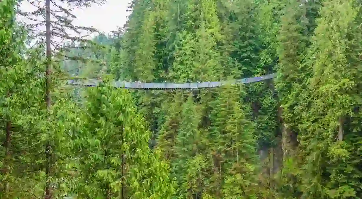 Walk among the trees via the Capilano Suspension Bridge in Vancouver, British Columbia